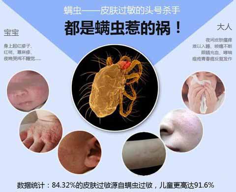 深度除螨.jpg